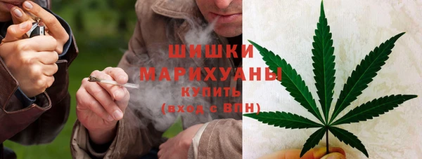 ALPHA-PVP Ельня