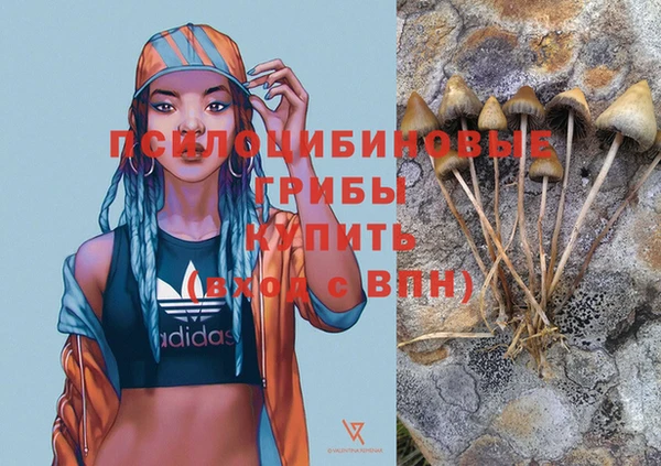 гидропоника Елизово