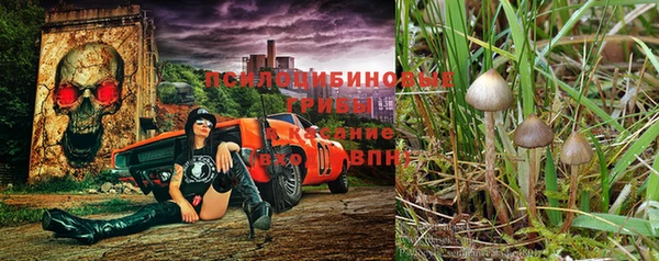гидропоника Елизово
